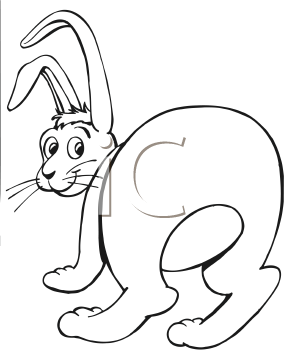 Cartoon Clipart